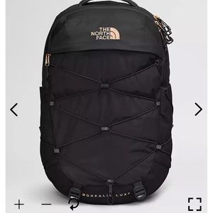 The north face backpack (womens Borealis Luxe Backpack)